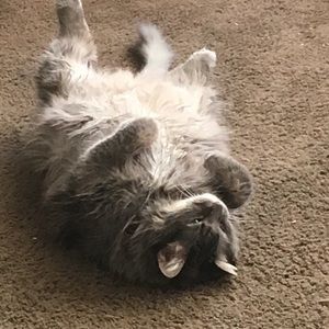 Meet your Posher’s, Henna and Grandma